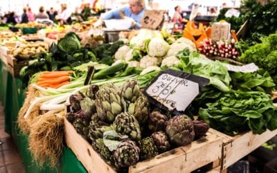Introduction to holistic nutrition—awareness, food quality, and food energetics