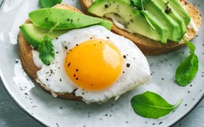 Cholesterol is good for you? Venturing outside the mainstream medical hypothesis