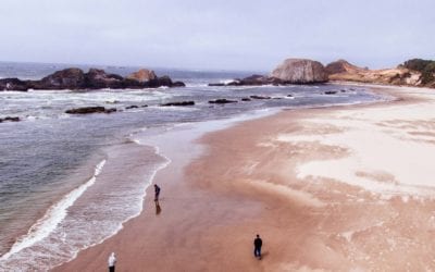 Acupuncture & Psychotherapy—Healing Mind and Body