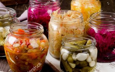 All about probiotics—what they do & how to use them