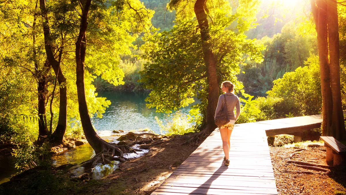 How Can Somatic Wellness Work For You?