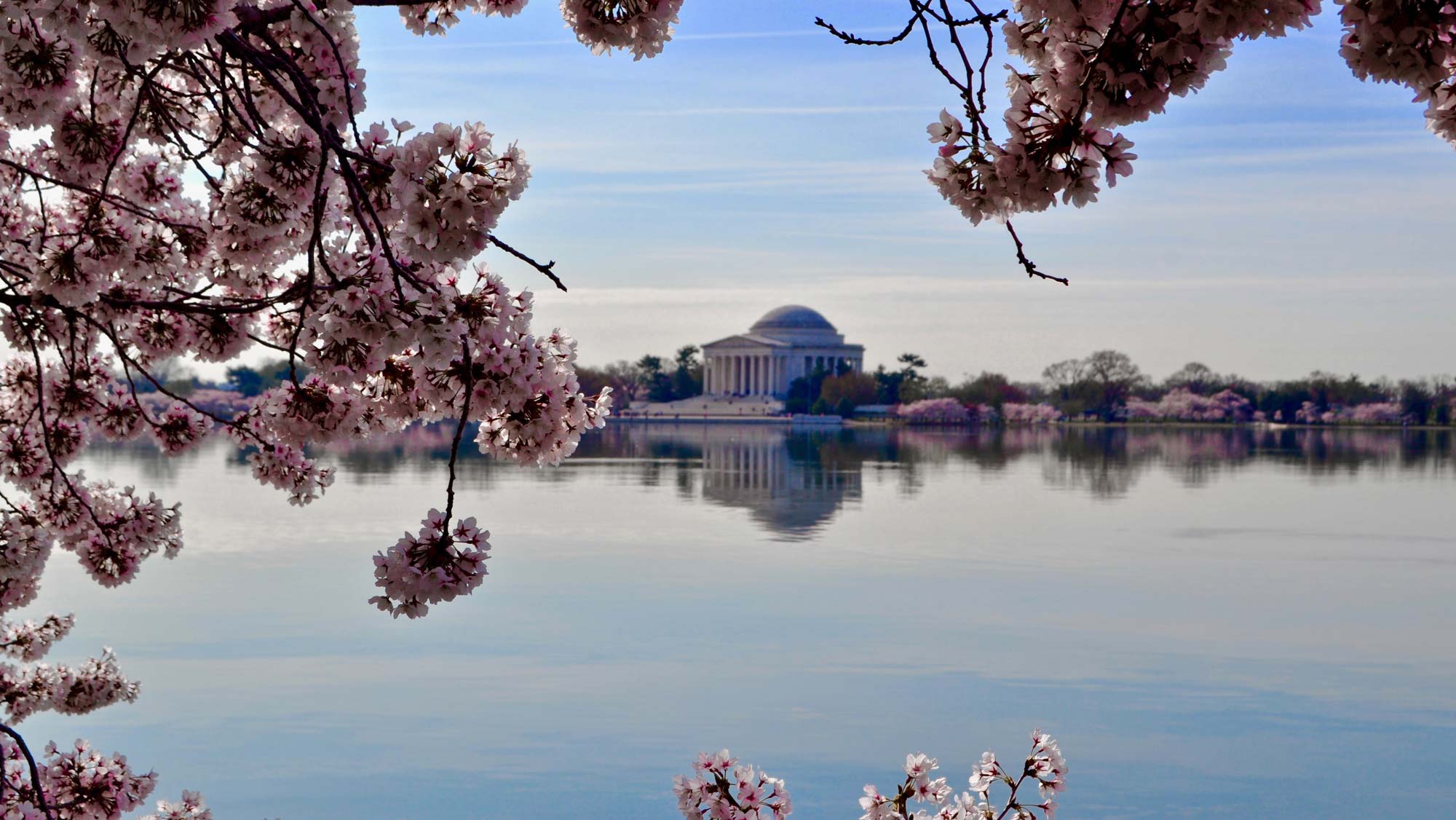 How to welcome spring after our long, cold winter