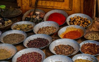 Herb Highlight: Huang Qi/Astragalus