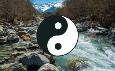 Balancing Excess and Deficiency with the Eight Principles of TCM